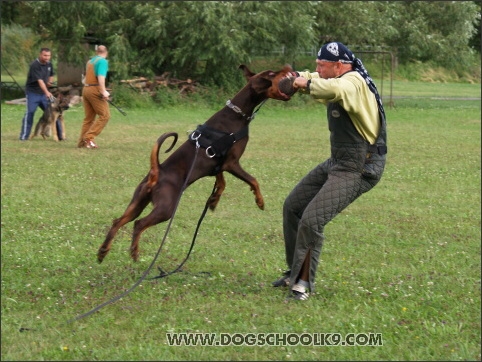 Training camp - Lukova 2007